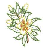 Australian Native Frangipani