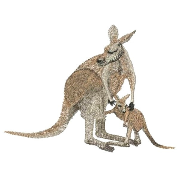 Aussie Kangaroo and Joey