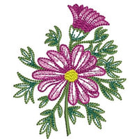 Swann River Daisy