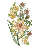 Aussie Floral Sketches