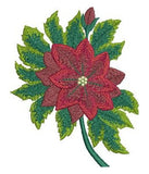 Poinsettia Flower